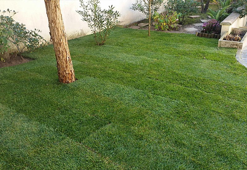 Jardins img1