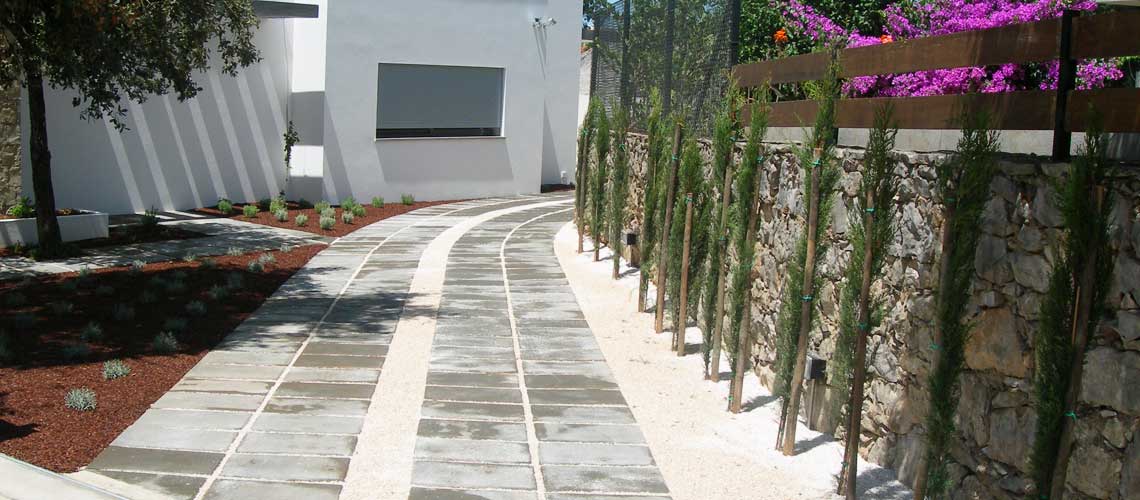 Plantação de arbustos